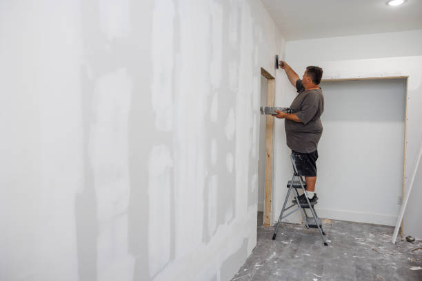 Best Basement Mold Removal  in East Orange, NJ
